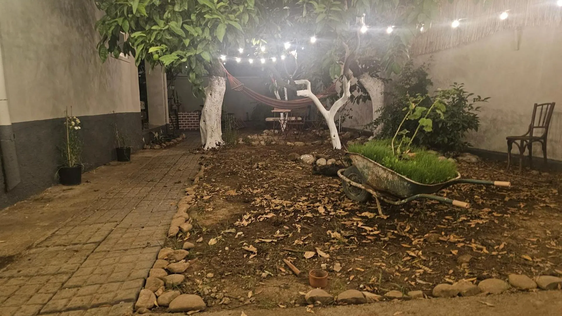 Auberge de jeunesse Lemon House à Tirana