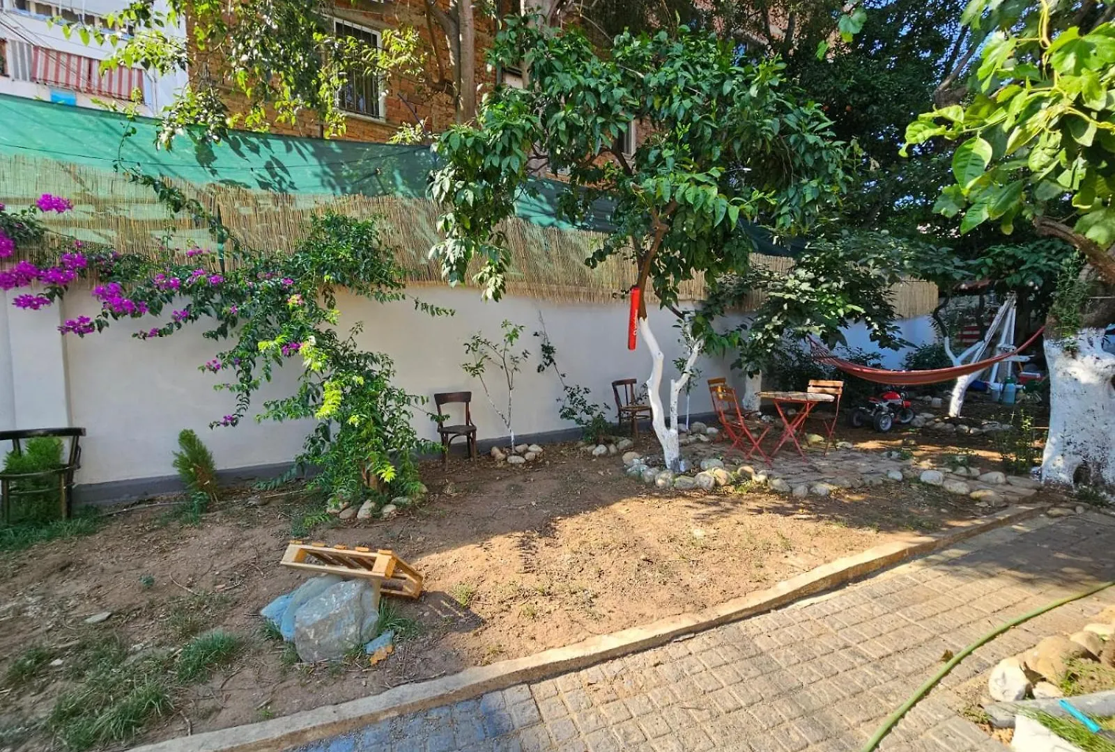 Auberge de jeunesse Lemon House à Tirana