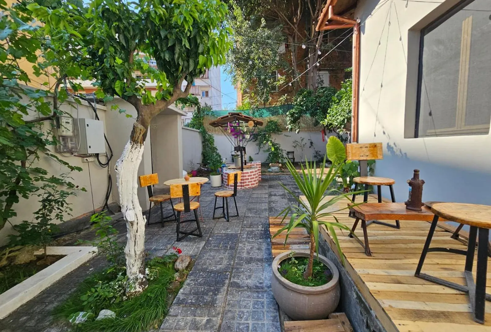 Auberge de jeunesse Lemon House à Tirana