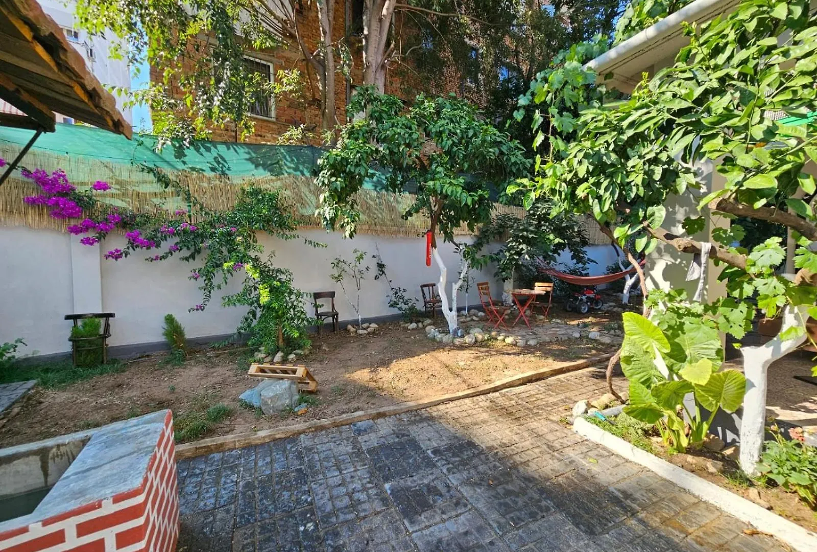 Auberge de jeunesse Lemon House à Tirana